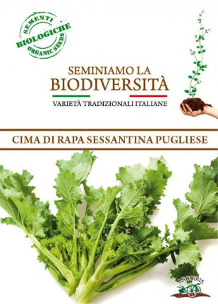 Raabs Broccoli Sessantina - Organic Seeds