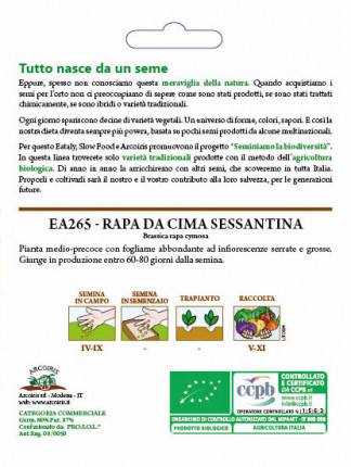 Cima di Rapa Sessantina - Sementi Biologiche