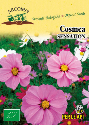 Cosmea Sensation - Organic Seeds