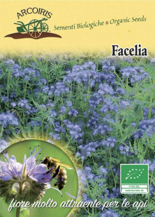 Facelia - Organic seeds