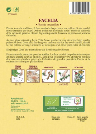 Facelia - Organic seeds