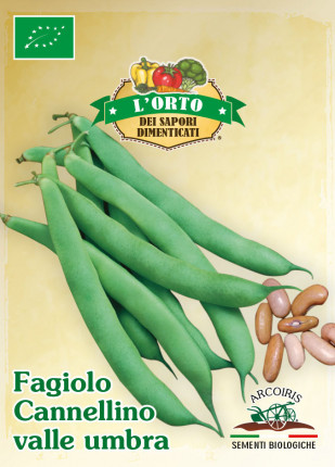 Bean Cannellino Valle Umbra - Organic Seeds