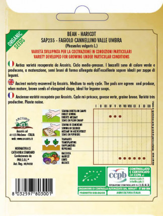 Bean Cannellino Valle Umbria - Organic Seeds