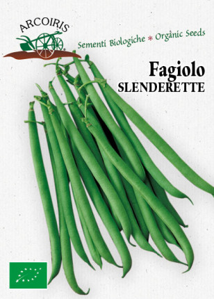 Dwarf Bean Slenderette -  Organic Seeds