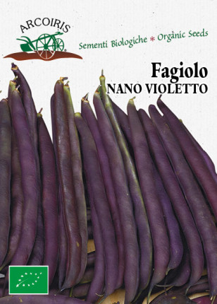 Fagiolo Nano Violetto Purple Queen - Sementi Biologiche