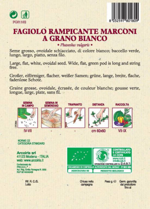 Bean Rampicante Marconi a Grano Bianco - Organic Seeds