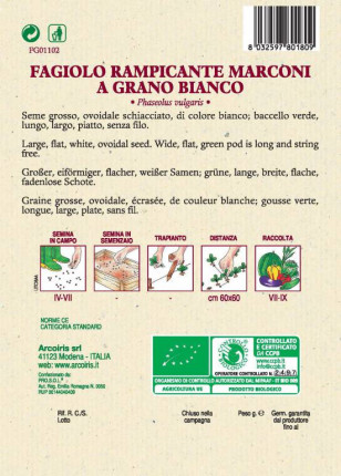 Fagiolo Rampicante Marconi a Grano Bianco - Sementi Biologiche