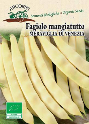 Bean Rampicante Meraviglia Di Venezia A Grano Bianco -  Organic Seeds