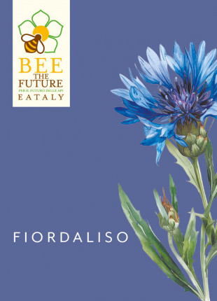Fiordaliso Eataly - Sementi Biologiche