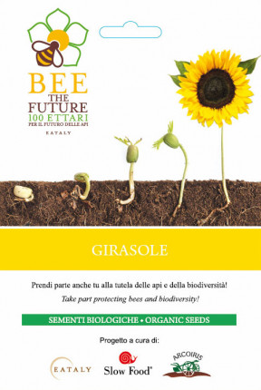 Sunflower Eataly - Organic Seeds