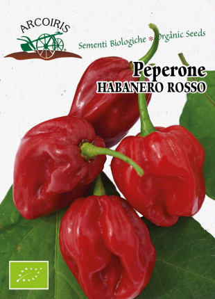 Habanero Rosso Sementi Biologiche