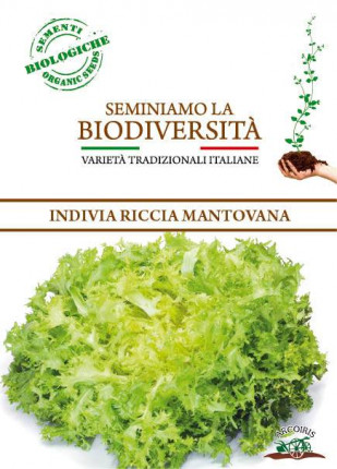 Endive Riccia Cuor D'oro/Mantovana - Organic Seeds