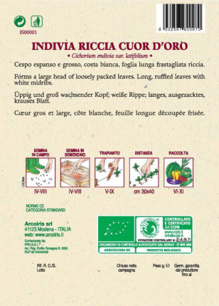 Indivia Riccia Cuor d'Oro - Sementi Biologiche