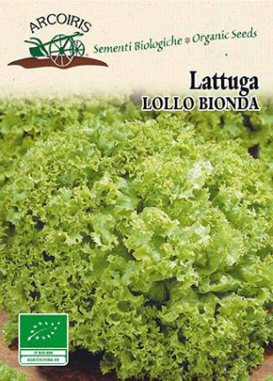 Lettuce Lollo Bionda - Organic Seeds