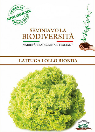 Lattuga Lollo Bionda Sementi Biologiche