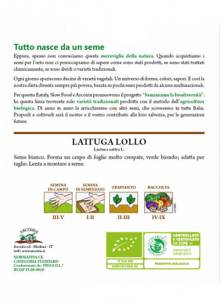 Lattuga Lollo Bionda Sementi Biologiche