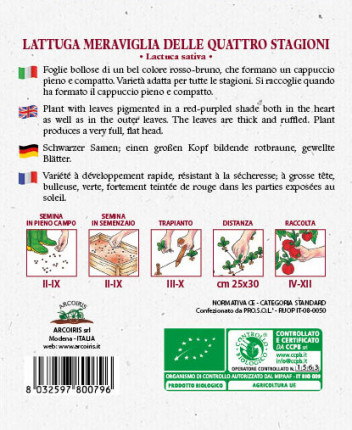 Lettuce Meraviglia Delle 4 Stagioni - Organic Seeds