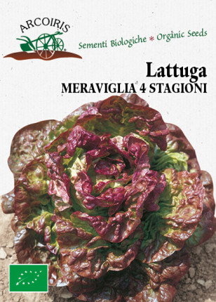 Lettuce Meraviglia Delle 4 Stagioni - Organic Seeds