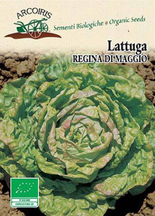 Lettuce Queen of May - Organic Seeds