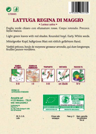 Lattuga Regina  di Maggio - Sementi Biologiche