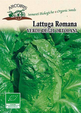 Lattuga Romana Verde degli Ortolani - Sementi Biologiche