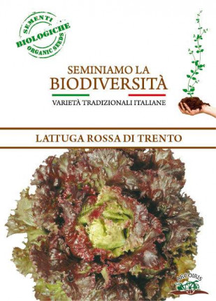 Lattuga Rossa di Trento - Sementi Biologiche