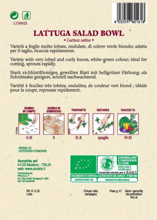 Lettuce Salad Bowl - Organic Seeds