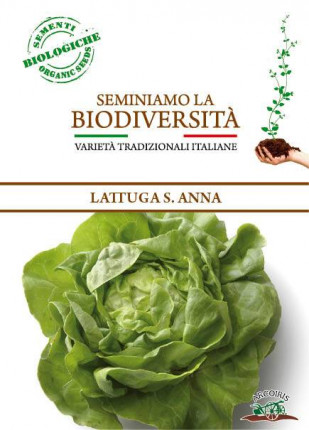 Lettuce Sant'Anna - Organic Seeds