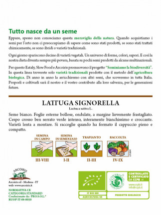 Lettuce Signorella - Organic Seed
