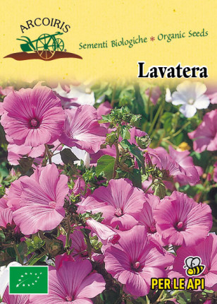 Lavatera - Sementi biologiche