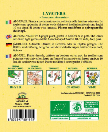 Lavatera - Organic Seeds