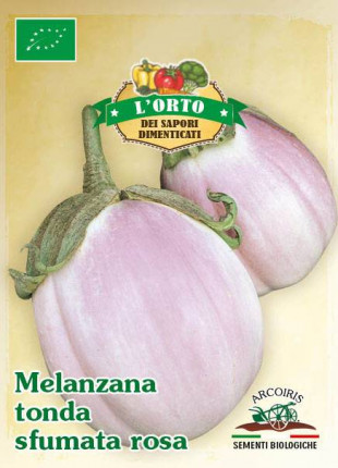 Eggplant Tonda Sfumata Rosa - Organic Seeds