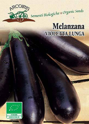 Eggplant Violetta Lunga 3 - Organic Seeds