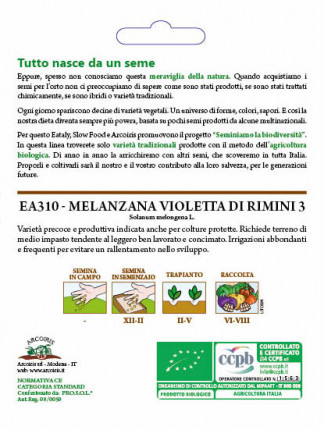 Eggplant Violetta Lunga di RImini - Organic Seeds