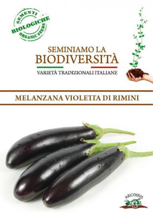 Eggplant Violetta Lunga di RImini - Organic Seeds