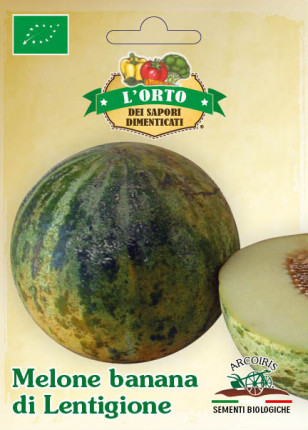 Melon banana di Lentigione - Organic seeds