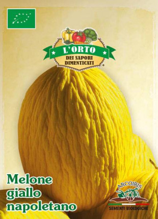 Melone Giallo Napoletano 3 - Sementi Biologiche