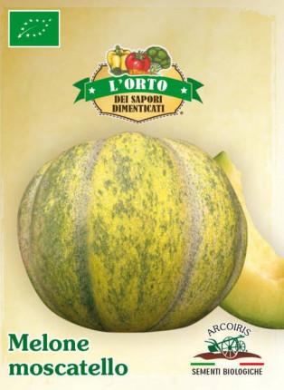 Melon Moscatello - Organic Seeds