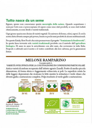 Melone Ramparino Sementi Biologiche