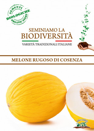 Melone Rugoso di Cosenza Giallo/Napoletano - Sementi Biologiche