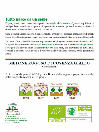 Melon Rugoso di Cosenza Giallo/Napoletano - Organic Seeds