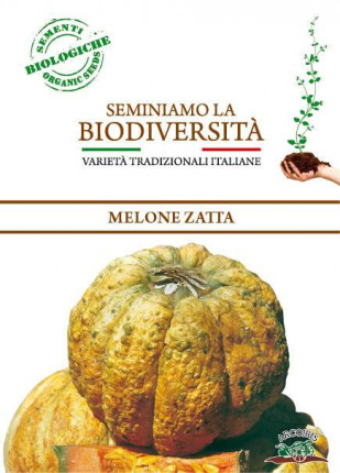 Melon Zatta - Organic Seeds