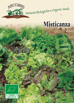 Mysticism of Lettuce 4 Season - Organic Seeds
