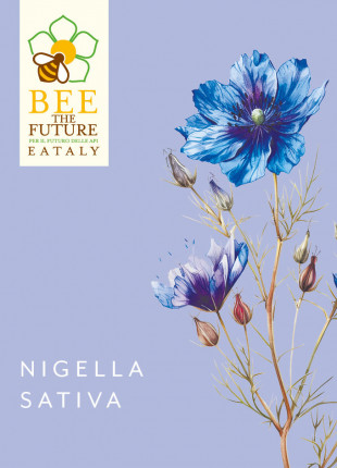Nigella Eataly - Sementi Biologiche