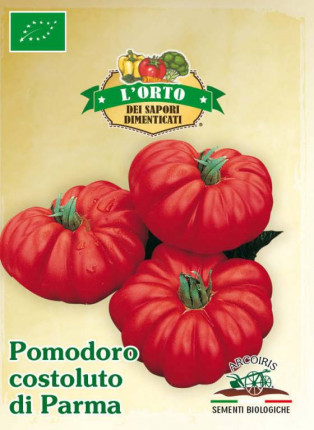 Tomato Costoluto di Parma - Organic Seeds