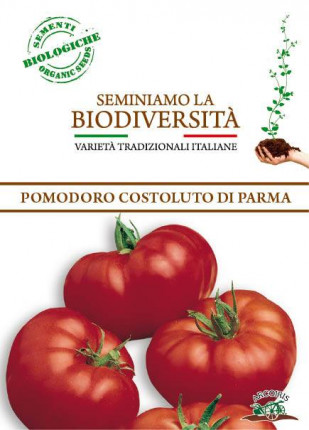 Tomato Costoluto Fiorentino o di Parma - Organic Seeds