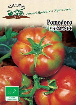 Tomato Marmande - Organic Seeds