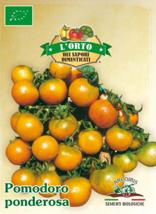 Tomato Ponderosa - Organic Seeds