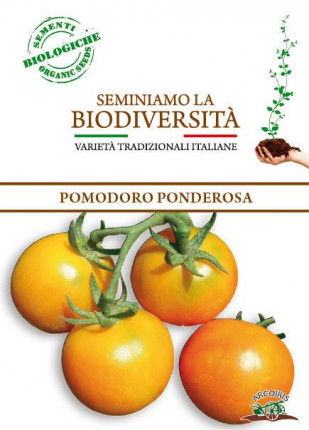 Tomato Ponderosa - Organic Seeds