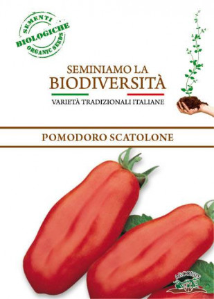 Pomodoro Scatolone - Sementi Biologiche
